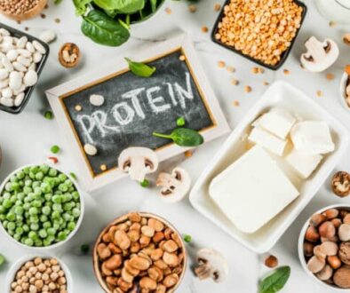 Vegan  protein sources