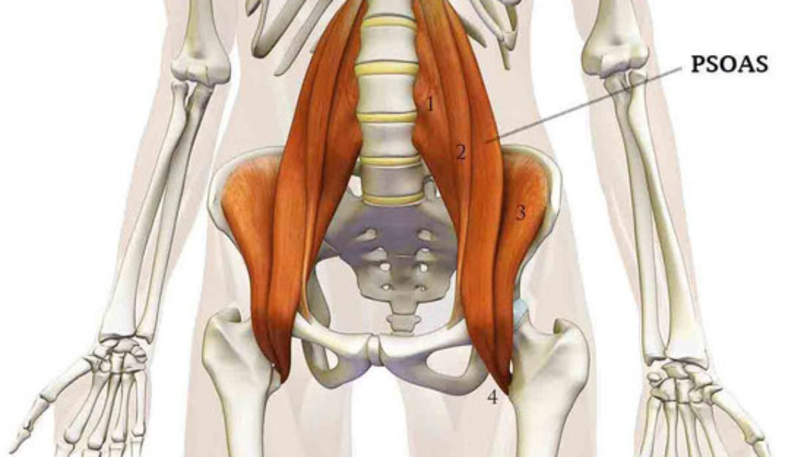 Psoas iliaque, 3S, studio sport santé